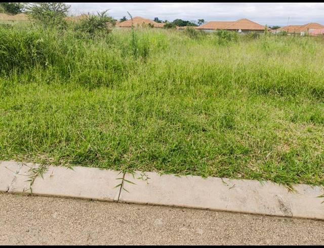 LAND FOR SALE IN CASA ACACIA